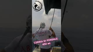 CERNIA DI FONDALE A 450 MT