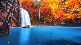 Soothing Waterfall Sounds for Relaxation | Calm Your Mind and Find Inner Peace