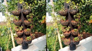 How to make coconut shell TOWER POT/coconut shell Tower Gardening/Beautiful Tower Pot