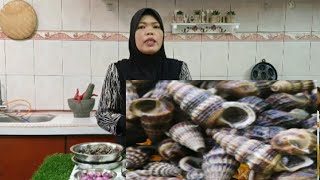 Masakan Siput sedut yg patut di cuba..