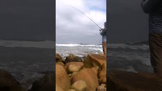 #pesca de #lisa en #playa con #cañadepescar a #robadera