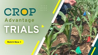 2022 Crop Advantage Trials