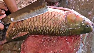 AMAZING ALIVE FISH Cutting Skill In Fish Market | Lots Of Big Fish In Fish Market  🐟