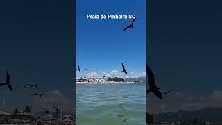 Praia da Pinheira SC !