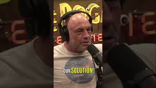 EVERYONE LOVES KAMALA HARRIS NOW?! #jre #shorts