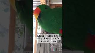 Stop Asking for the perfect man #funnyshorts #birdvideos