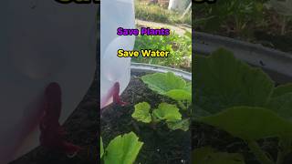 My Simple Self-Watering System...You Can Do It!