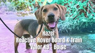 Hazel's Reactive Rover Board and Train | Dog Reactivity Training Boise