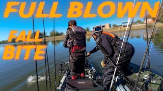 River fishing for FALL BASS!