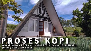 OH JADI GINI PROSES KOPI  !!   |  COFFEE PLANTATION DAY 2  |  GUNUNG HALU