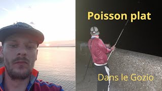 nouvelle sortie la digue de Malo Dunkerque quelques poissons de sortie