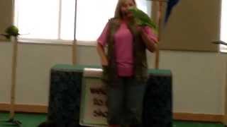 Parrots Show / Talking Parrots