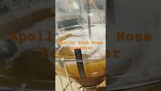 Apollo Snub Nose Fermenter #keg #kegging #kegs #homebrew #beer