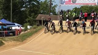 2019 BMX Racing Edit (Reese Hallé)