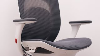 Xiaomi Made an Office Chair - Xiaomi Ergonomic Office Chair Review