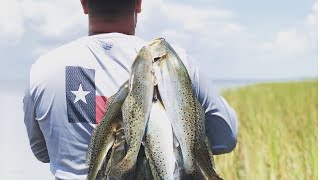 The EASIEST way to catch LIMITS of speckled TROUT