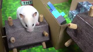 Hamster Escapes from the Minecraft Prison Maze