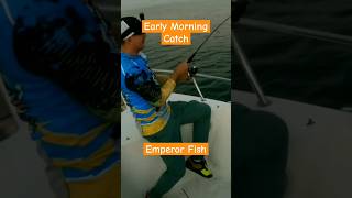 Early Morning Fishing Jigging in Qatar #shorts #fypシ #fishing #shortvideo #fish