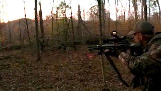 BUCK DOWN! OHIO PUBLIC LAND!  (OFF HAND SHOT)