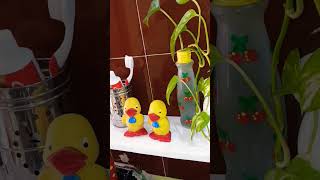 meesho finds #meesho #meeshofinds #decoration #viral #youtubeshorts