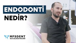 Endodonti Nedir? | Dt. Muhammed Ali Kurmuş