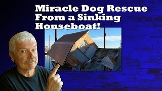 Miracle Dog Rescue From a Sinking Houseboat!