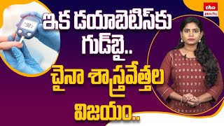 Success of Chinese Scientists on Diabetes |డయాబెటిస్‌కు గుడ్‌బై,చైనా శాస్త్రవేత్తల విజయం.|Eha Health