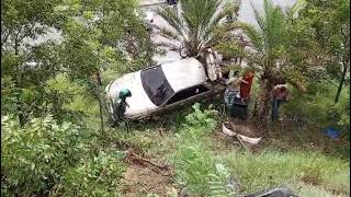 INSOLITO CARRO CAE DESDE EL PUENTE Y UNA MATA LOS SALVÓ.