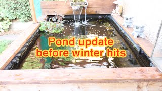 In autumn before winter hits my koi pond