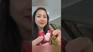 Mangosteen- My no.1 Favorite fruit in the world