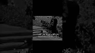 حالات واتس اب🖤/ستوريات انستا /ستوري حزين/ستوريات عبود/𝒌𝒊𝒏𝒈 𝒑𝒓𝒐𝒐𝒐 🖤