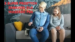 5 bardzo prostych zabawek węchowych dla psa 🐕🐶