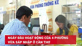 Ngày đầu hoạt động của 4 phường vừa sáp nhập ở Cần Thơ | Báo Lao Động