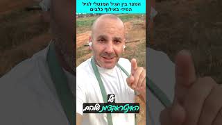 הפער בין הגיל הביולוגי והגיל המנטלי בתהליכי אילוף כלבים #כלביםזהאהבה #כלביםקטנים #כלבים