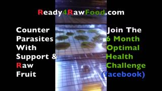 R Creates "Ready4Raw Food" Business! (Ready4RawFood.com)