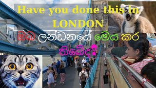 Have you Done This In London ? | ඔබ මෙය ලන්ඩනයේදී කර තිබේද? | Travel | Vlog | United Kingdom ❤️👍🩵💜👌💛