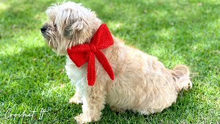 Crochet Pet Red Bow Collar Tutorial | Multiple sizes | Easy | Crochet It