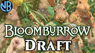 BLOOMBURROW DRAFT THE "RIGHT" WAY!!!