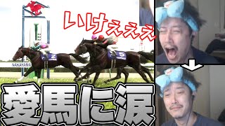 愛馬の活躍に感情移入しすぎて涙する布団ちゃん【2024/10/11】