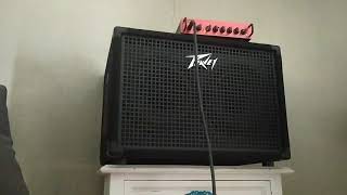 Buzzy Noise Peavey 210 Bass Cabinet