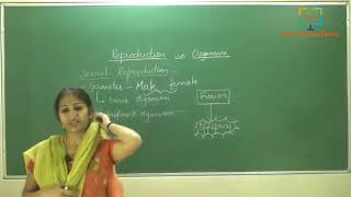 Class 12, Biology Chapter 1 - Reproduction in Organisms, class 2