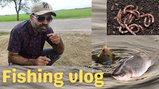 Best Amazing Hook fishing 2023✅ Village Smart Boy Hunting Fish by Fish Hook From Beautiful Nature