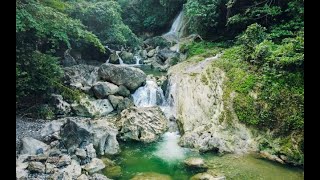 Waterfalls Sound | Rainforest Sound | Nature Sounds for Stress Relief and Healing