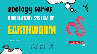 Lecture 6 Circulatory System of Earthworm Part2 || #bsc #zoology