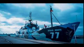 Williamstown Sea Shepherd and great city views