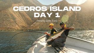 Cedros Island Surface Iron Fishing With Toro | Day 1