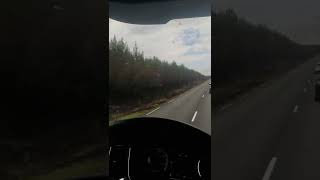 driving through a recently burnt forest in southern France