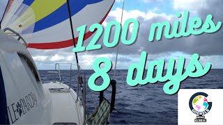 Ascension Island to Brazil - Ep. 27