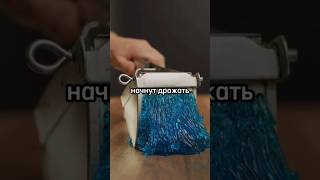 Случайные факты #факты #tiktok