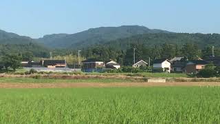 WIND DANCES IN GREEN FIELDS | 風が緑の野原を舞う